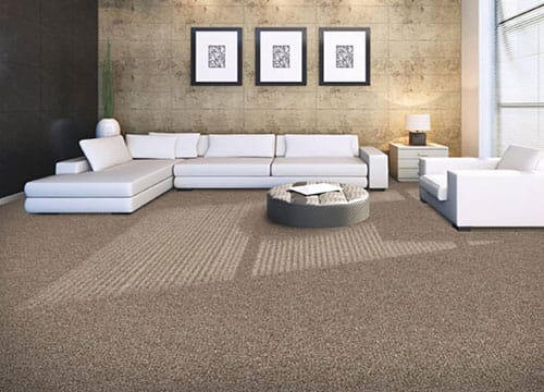 Livingroom Linen Carpet