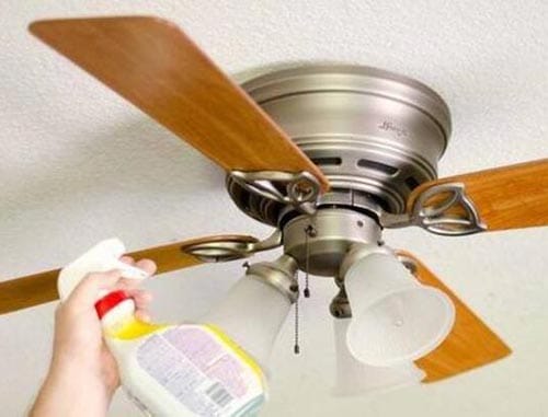 Regular cleaning