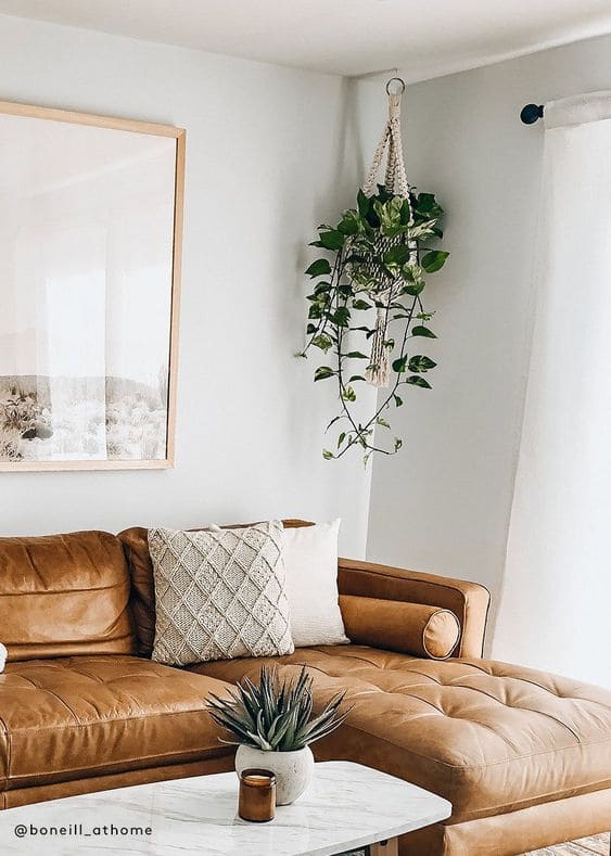 Hanging Planters in living room corner