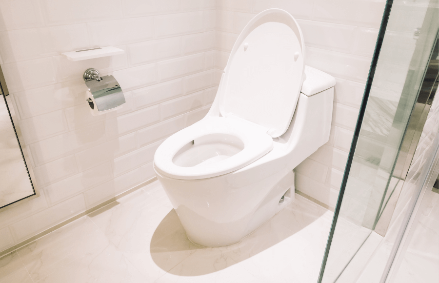 What Is A Dual Flush Toilet