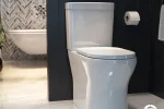 Dual-Flush Toilets