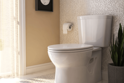 Dual-Flush Toilets