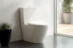 Modern Bidet Toilet