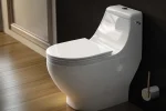 Modern Bidet Toilet