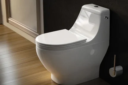 Modern Bidet Toilet