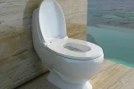 One Piece Toilet