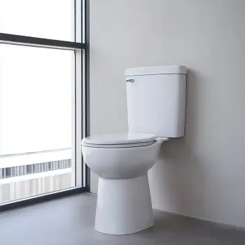 Tall Toilets