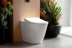 Tankless Toilets