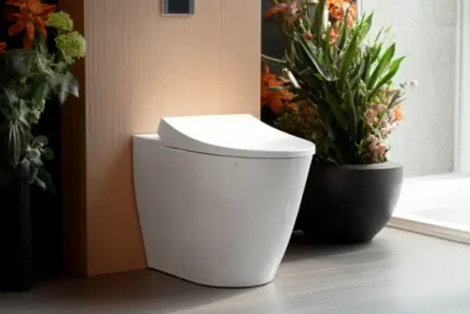 Tankless Toilets