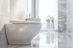 Tankless Toilets