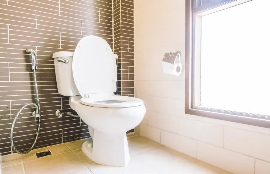 Top 10 Brands of Toilet in 2025