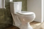Two Piece Toilet