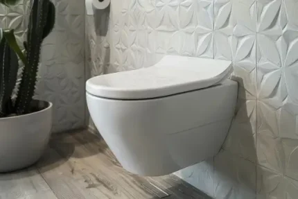 Wall Hung Toilet