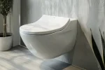 Wall Hung Toilet