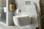 Wall Hung Toilet