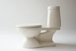 Rear Flush Toilet