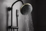 Dual Shower Head