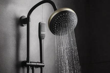 Dual Shower Head