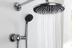 Dual Shower Head