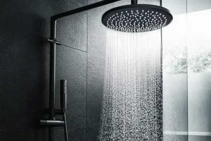 Rain Shower Head