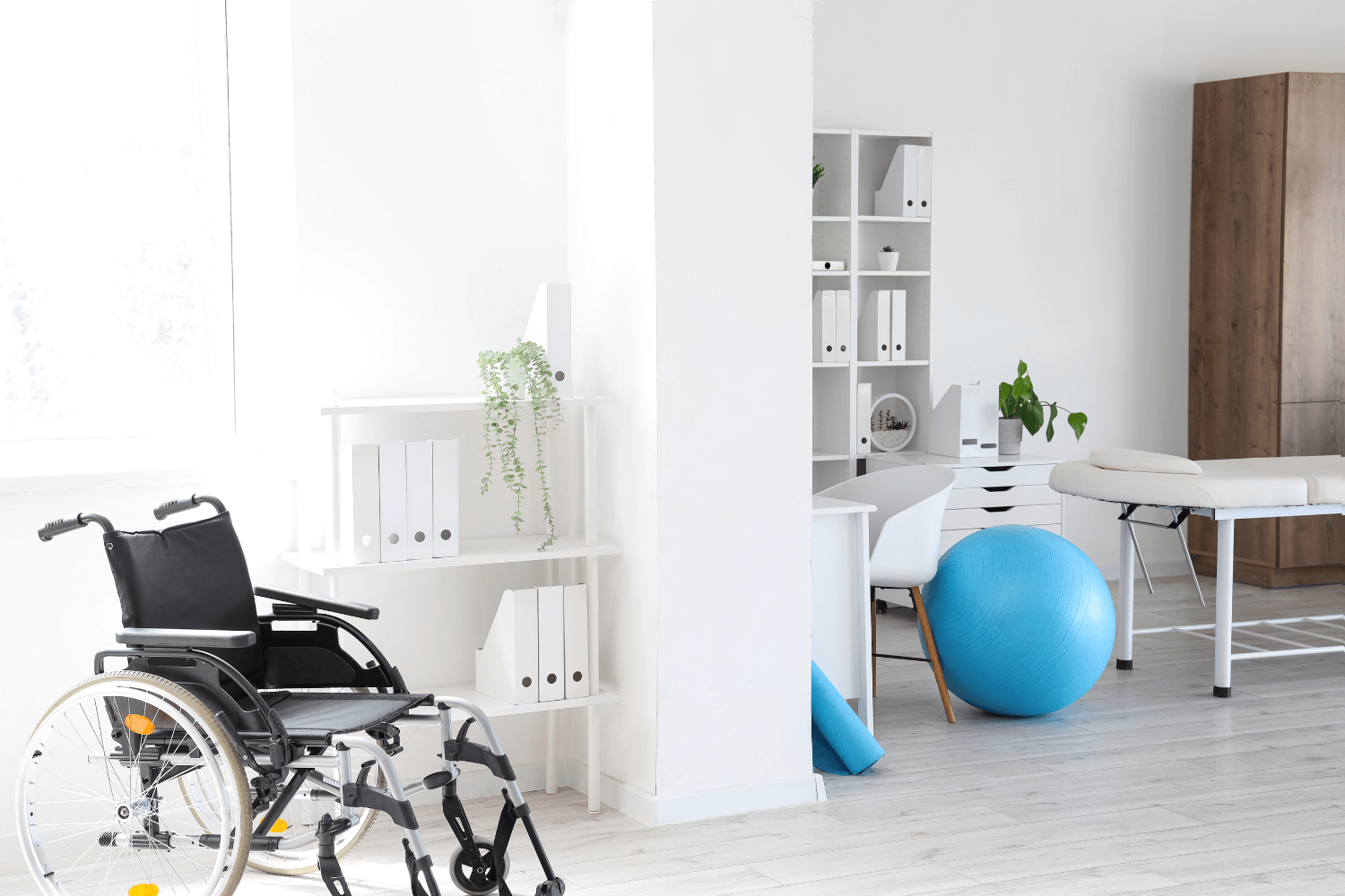 Rehabilitation & Physical Therapy Centers
