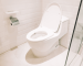What Is A Dual Flush Toilet