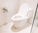 What Is A Dual Flush Toilet