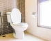 Top 10 Brands of Toilet in 2025