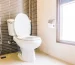 Top 10 Brands of Toilet in 2025